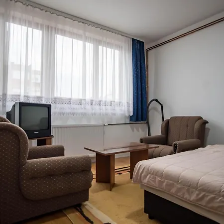 Apartment Lux Pirot